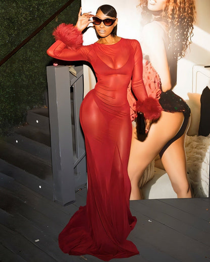 NEW Sheer Mesh Maxi Dress