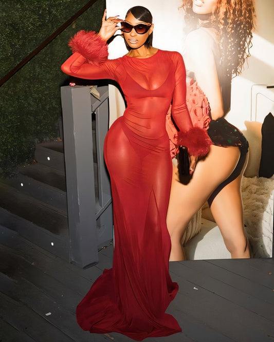 NEW Sheer Mesh Maxi Dress